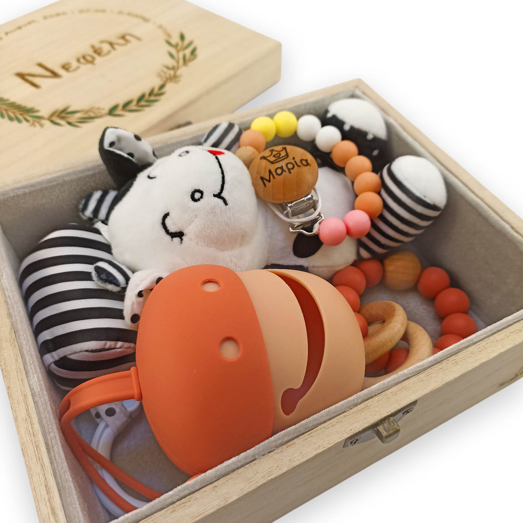 Gift Box κουτί αναμνήσεων μωρού πορτοκαλί με θήκη πιπίλας, μασιτικό και λούτρινο ασπρόμαυρο κουκλάκι